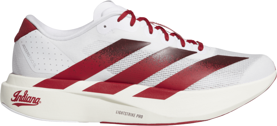 Indiana Hoosiers Adidas Adizero Evo Sl Running Shoes - Official Indiana University Athletics Store Indiana Hoosiers Adidas Adizero Evo Sl Running Shoes - Official Indiana University Athletics Store