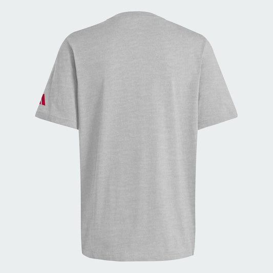 Indiana Hoosiers Big 10 Conference Champions T-Shirt
