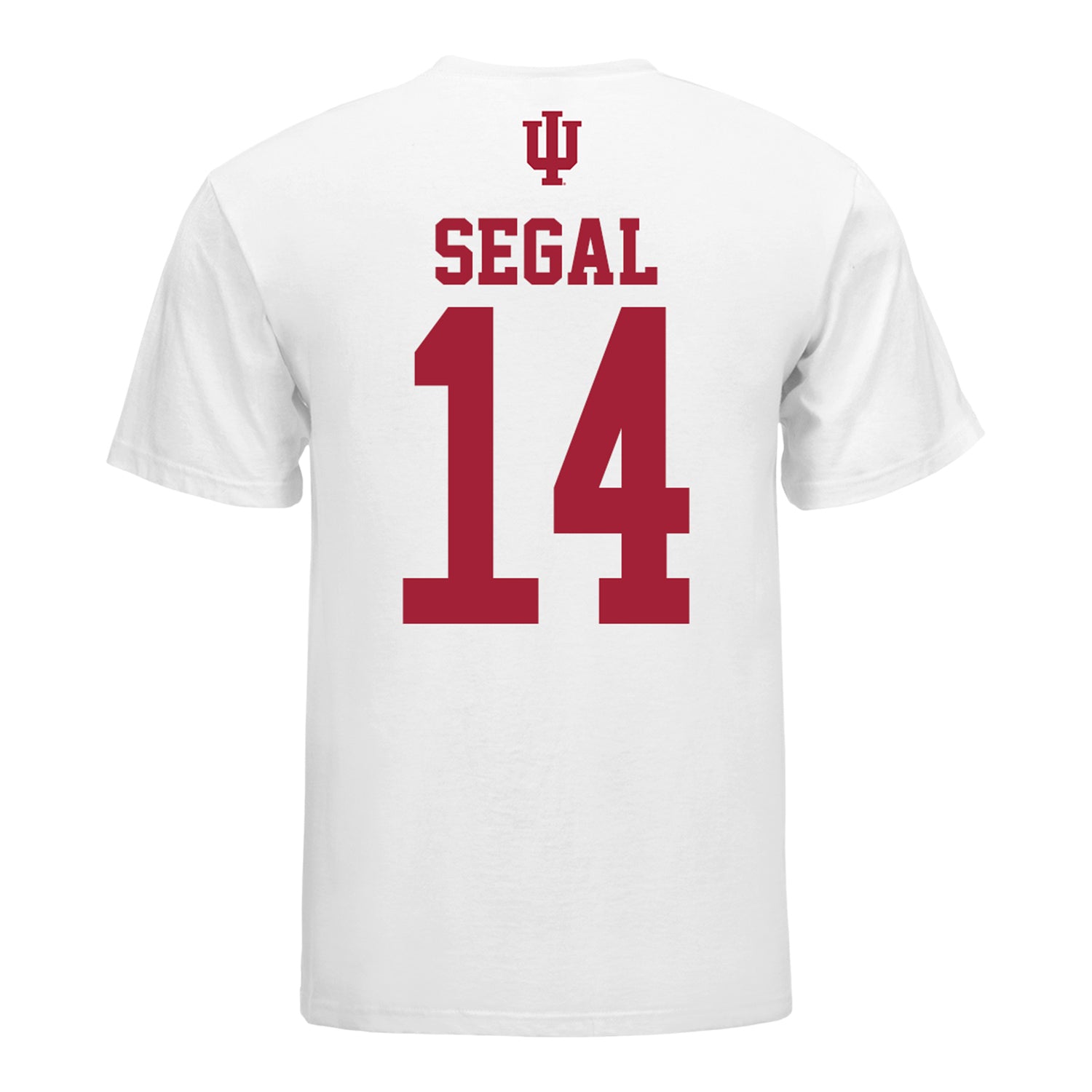 Indiana Hoosiers Women's Volleyball Student Athlete T-Shirt #14 Emma Segal - Back View
