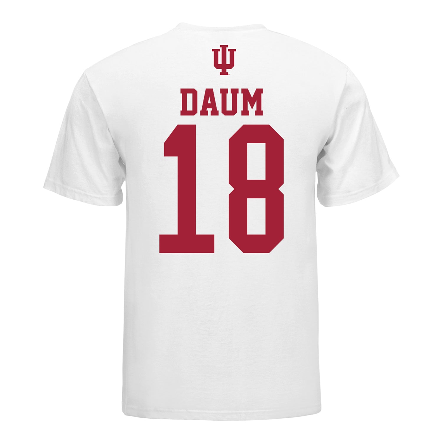 Indiana Hoosiers Women's Volleyball Student Athlete T-Shirt #18 Avery Daum - Back view