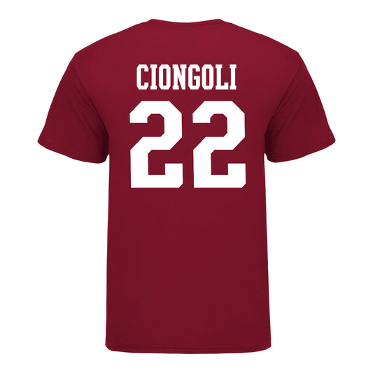 Indiana Hoosiers #22 Ace Ciongoli Student Athlete Football T-Shirt - Back View