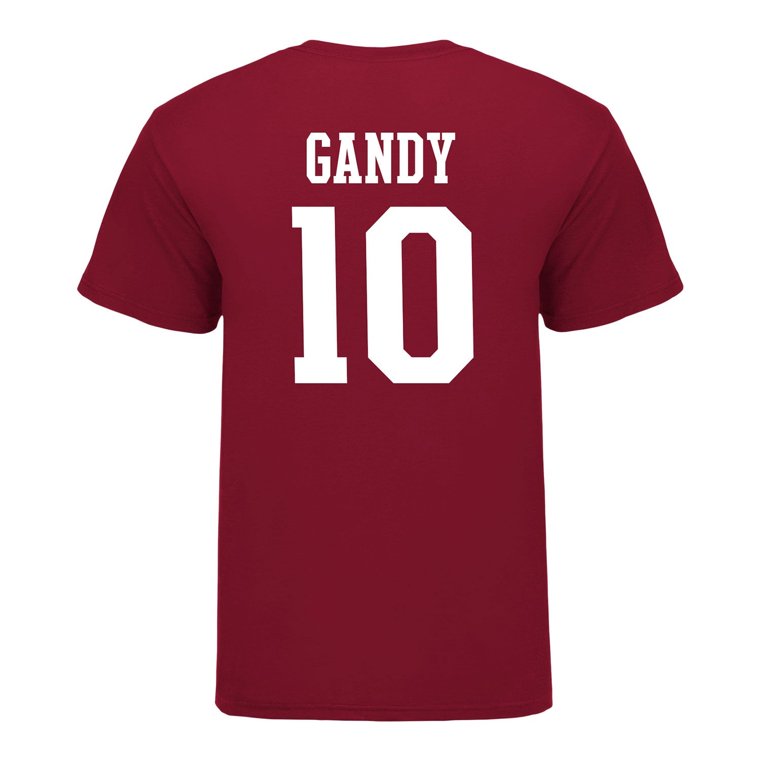 Indiana Hoosiers #10 Ryan Gandy Student Athlete Football T-Shirt - Back view