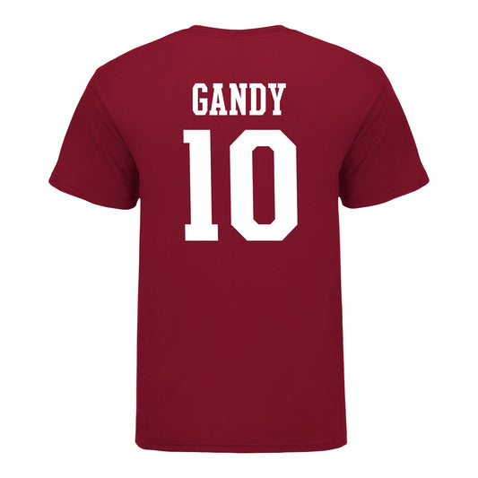 Indiana Hoosiers #10 Ryan Gandy Student Athlete Football T-Shirt - Back view