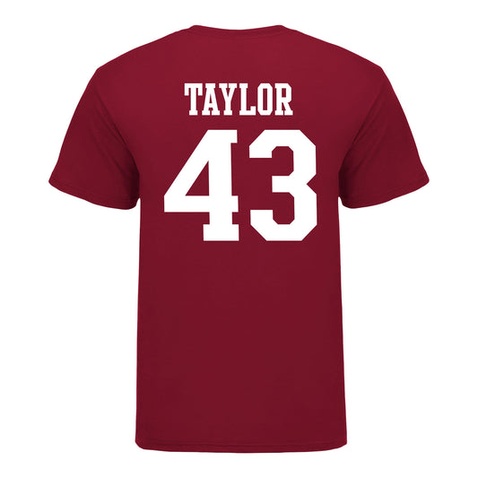 Indiana Hoosiers #43 Bryce Taylor Student Athlete Football T-Shirt - Back View
