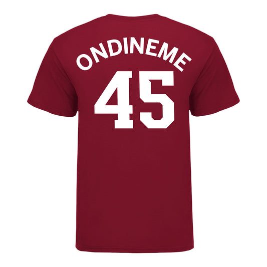 Indiana Hoosiers Adidas #45 Jade Ondineme Student Athlete Womens Basketball T-Shirt