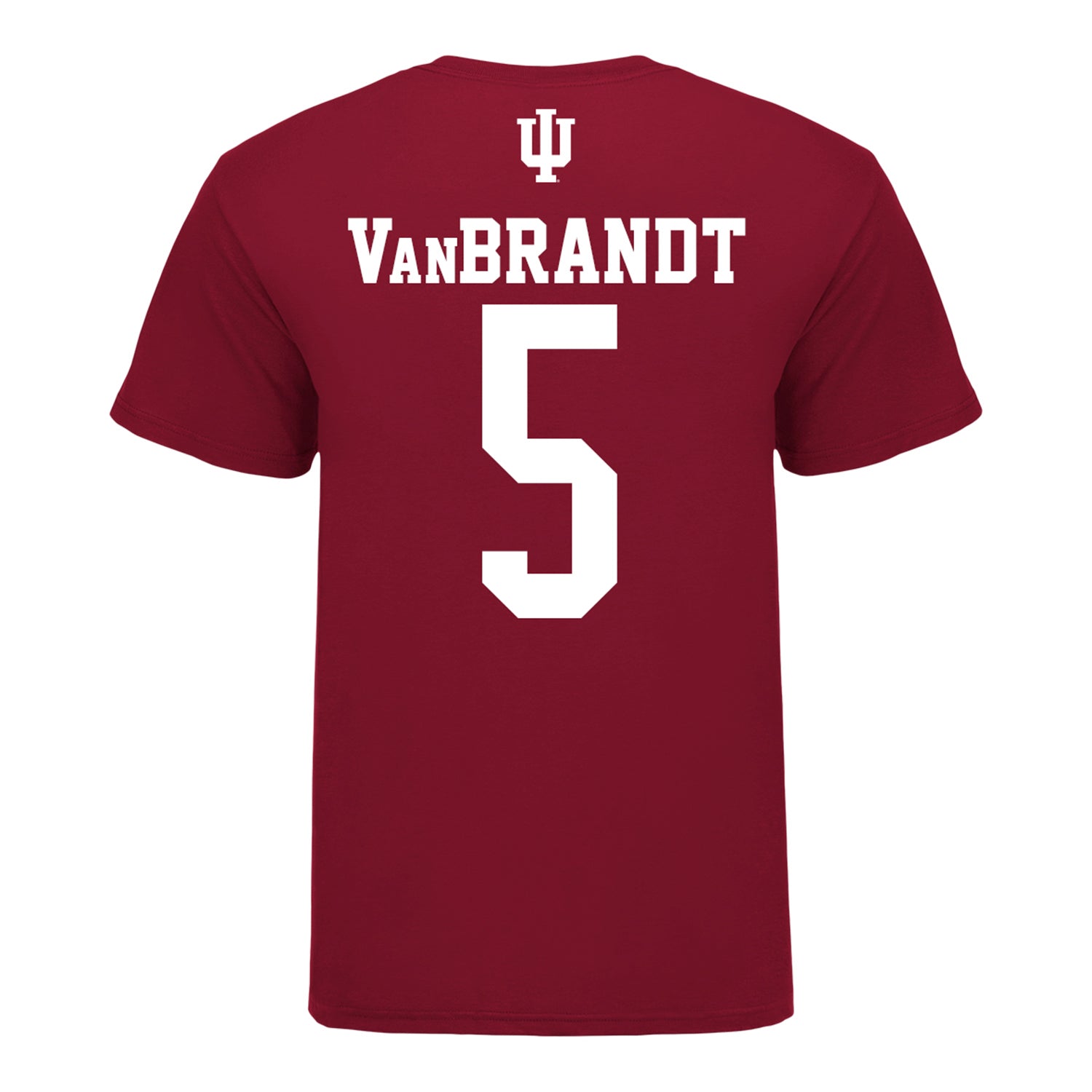 Indiana Hoosiers Softball #5 Aly VanBrandt Student Athlete T-Shirt