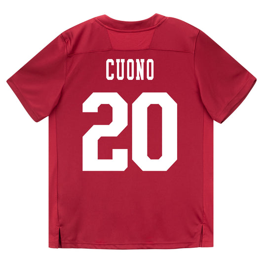 Indiana Hoosiers Adidas Football Student Athlete #20 Sean Cuono Premier Football Jersey - Back View