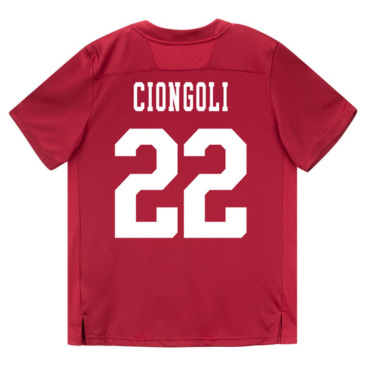 Indiana Hoosiers Adidas Football Student Athlete #22 Ace Ciongoli Premier Football Jersey - Back View