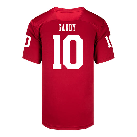 Indiana Hoosiers Adidas Football Student Athlete #10 Ryan Gandy Premier Football Jersey