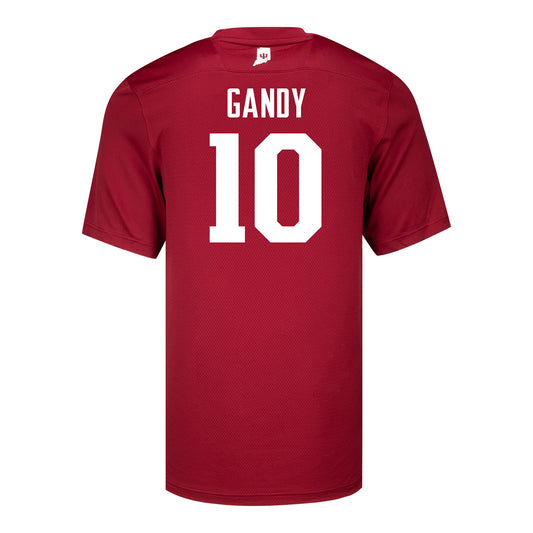 Indiana Hoosiers Adidas #10 Ryan Gandy Student Athlete Football Jersey
