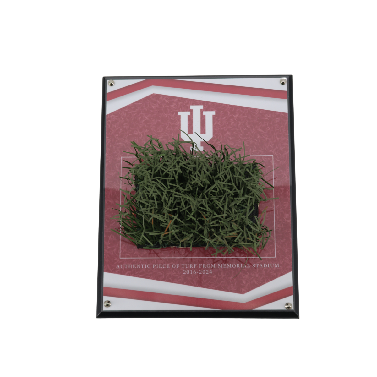 Indiana University Authentic Piece of Memorial Stadium Turf Plaque