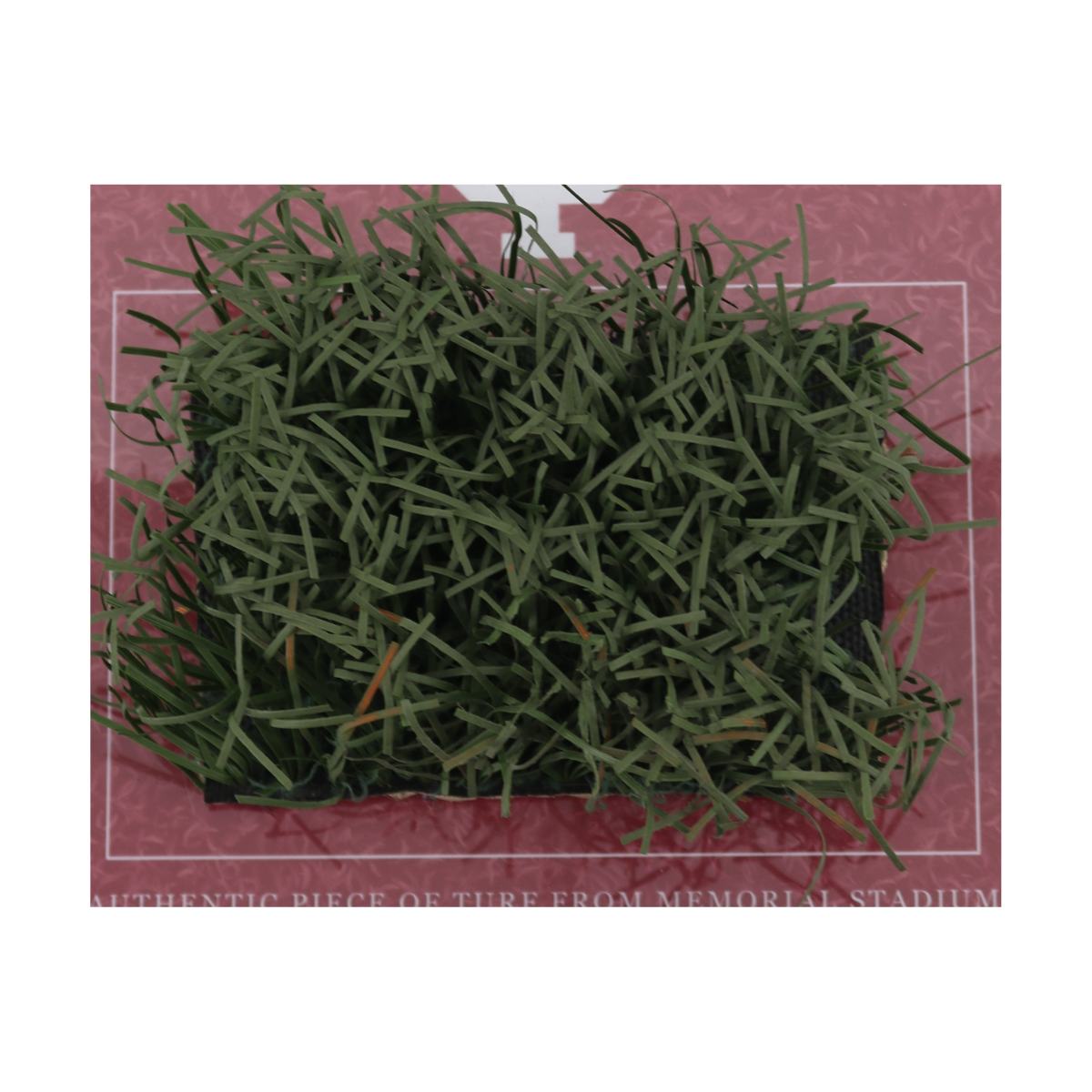 Indiana University Authentic Piece of Memorial Stadium Turf Plaque