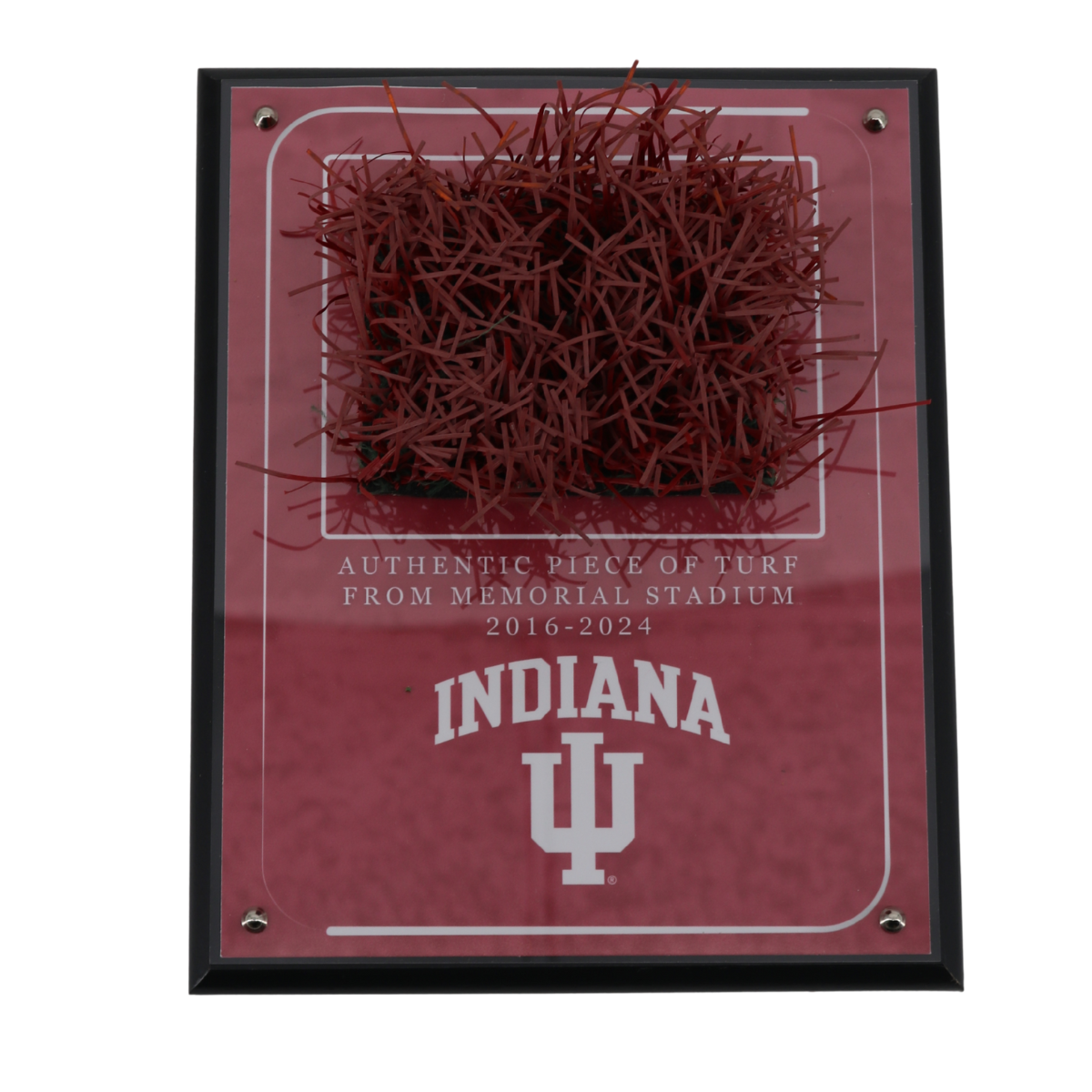 Indiana University Authentic Piece of Memorial Stadium Turf Plaque