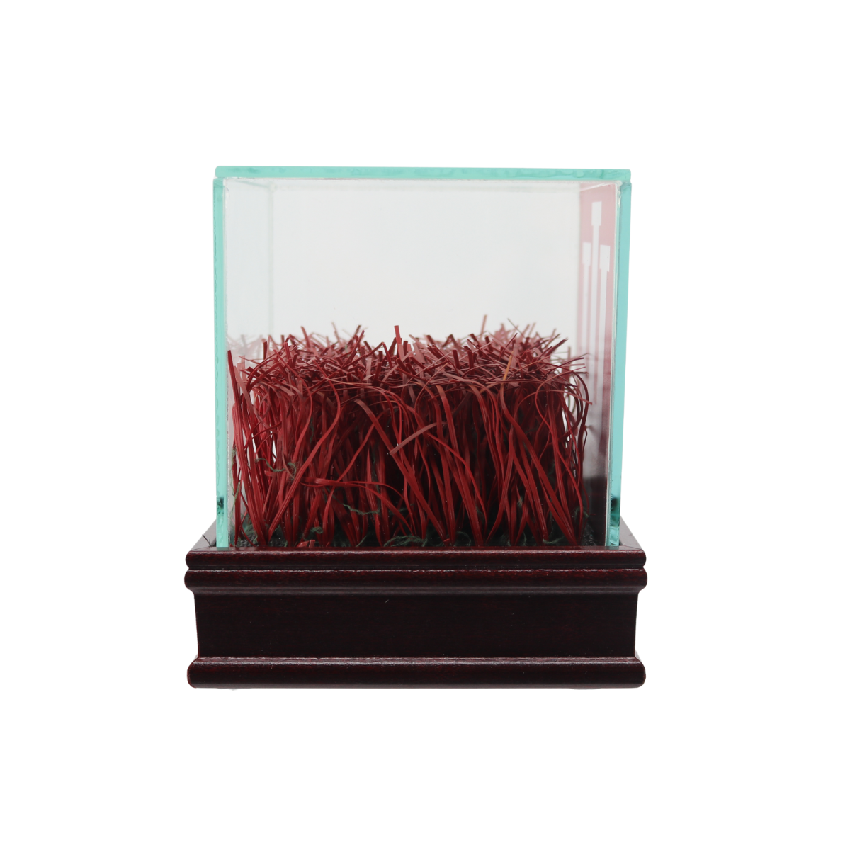 Indiana University Authentic Piece of Memorial Stadium Turf in Glass Display Case