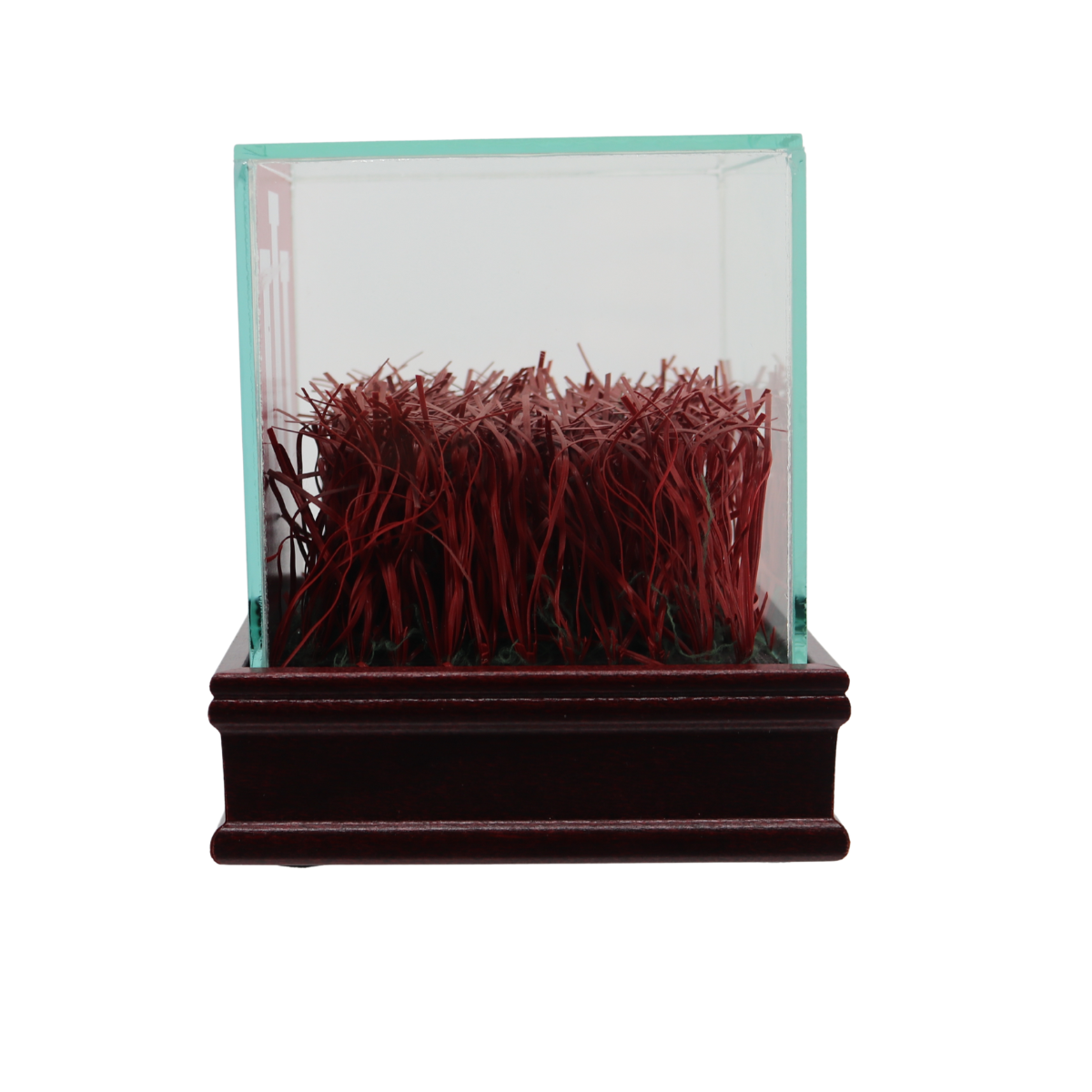 Indiana University Authentic Piece of Memorial Stadium Turf in Glass Display Case