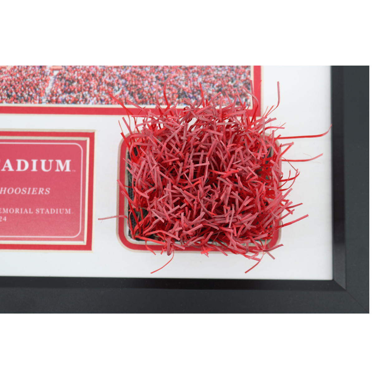Indiana University Authentic Piece of Memorial Stadium Turf Framed Collage
