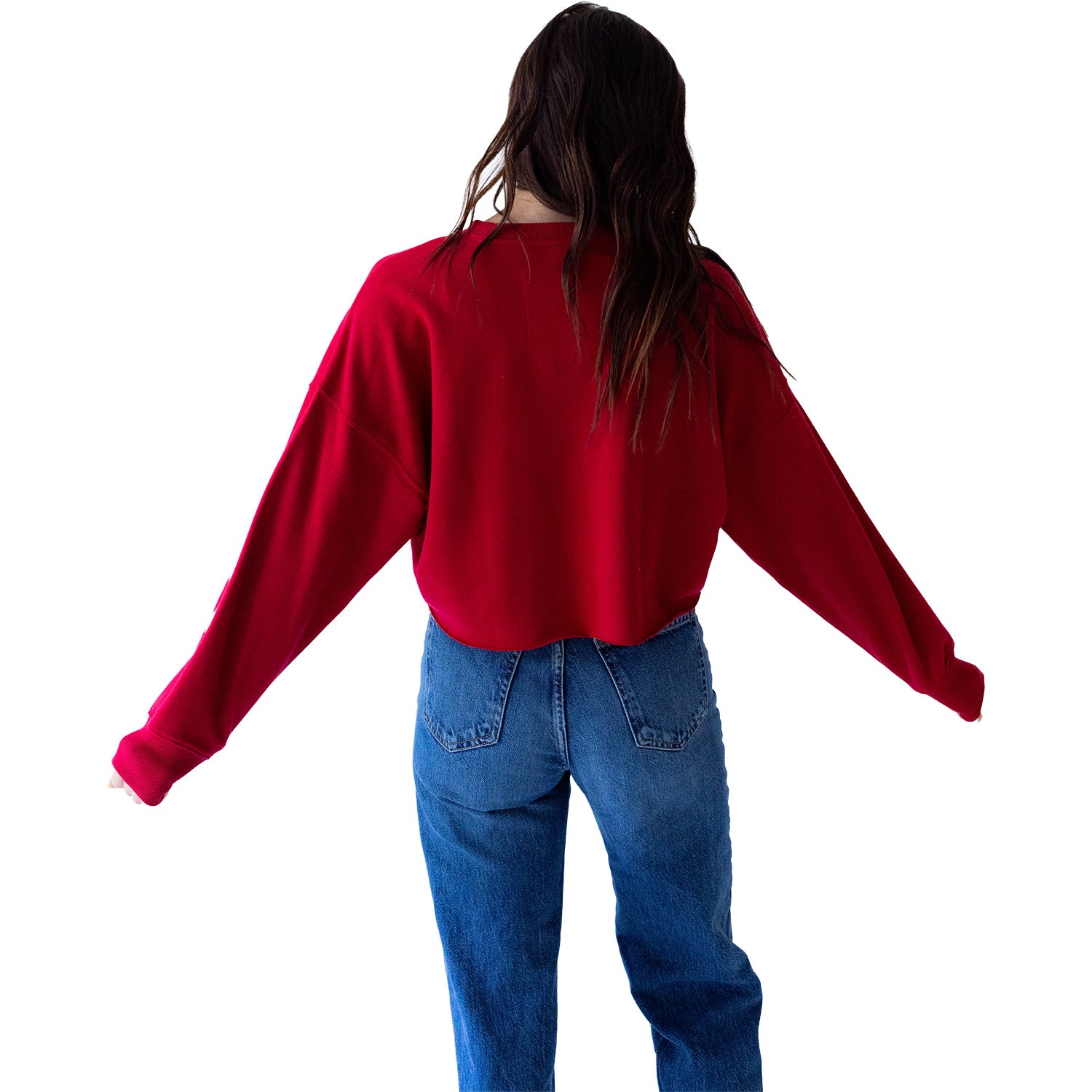 Indiana Hoosiers Long Sleeve Phipps Cropped T-Shirt - Back view