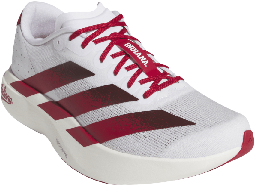 Indiana Hoosiers Adidas Adizero Evo Sl Running Shoes - Front Toe