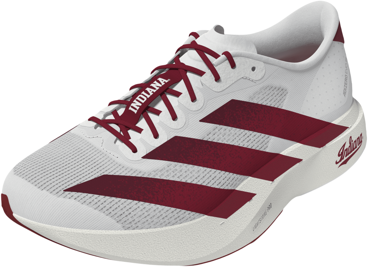 Indiana Hoosiers Adidas Adizero Evo Sl Running Shoes - Left toe