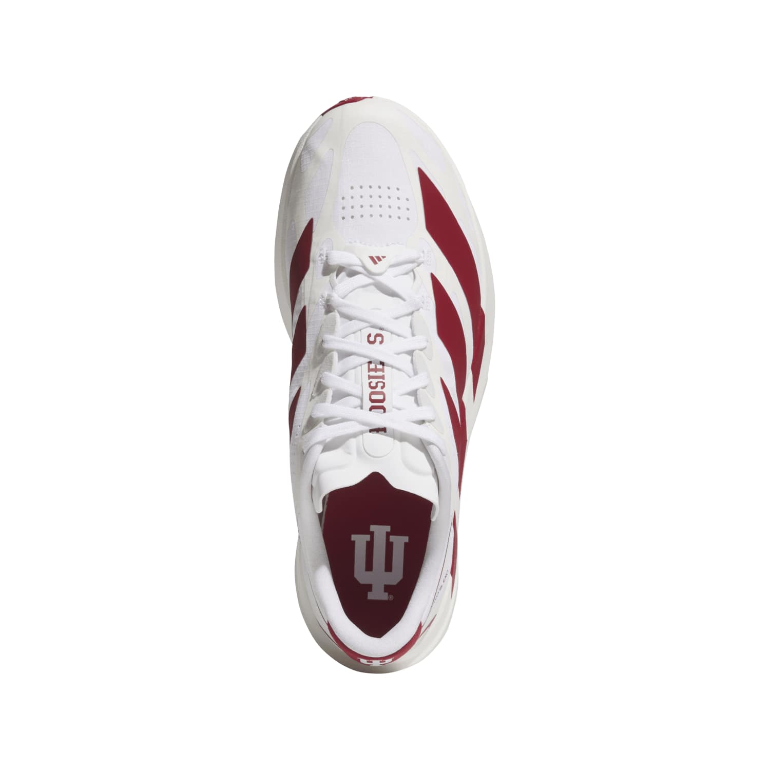 Indiana Hoosiers Adizero EVO SL EXO Shoes