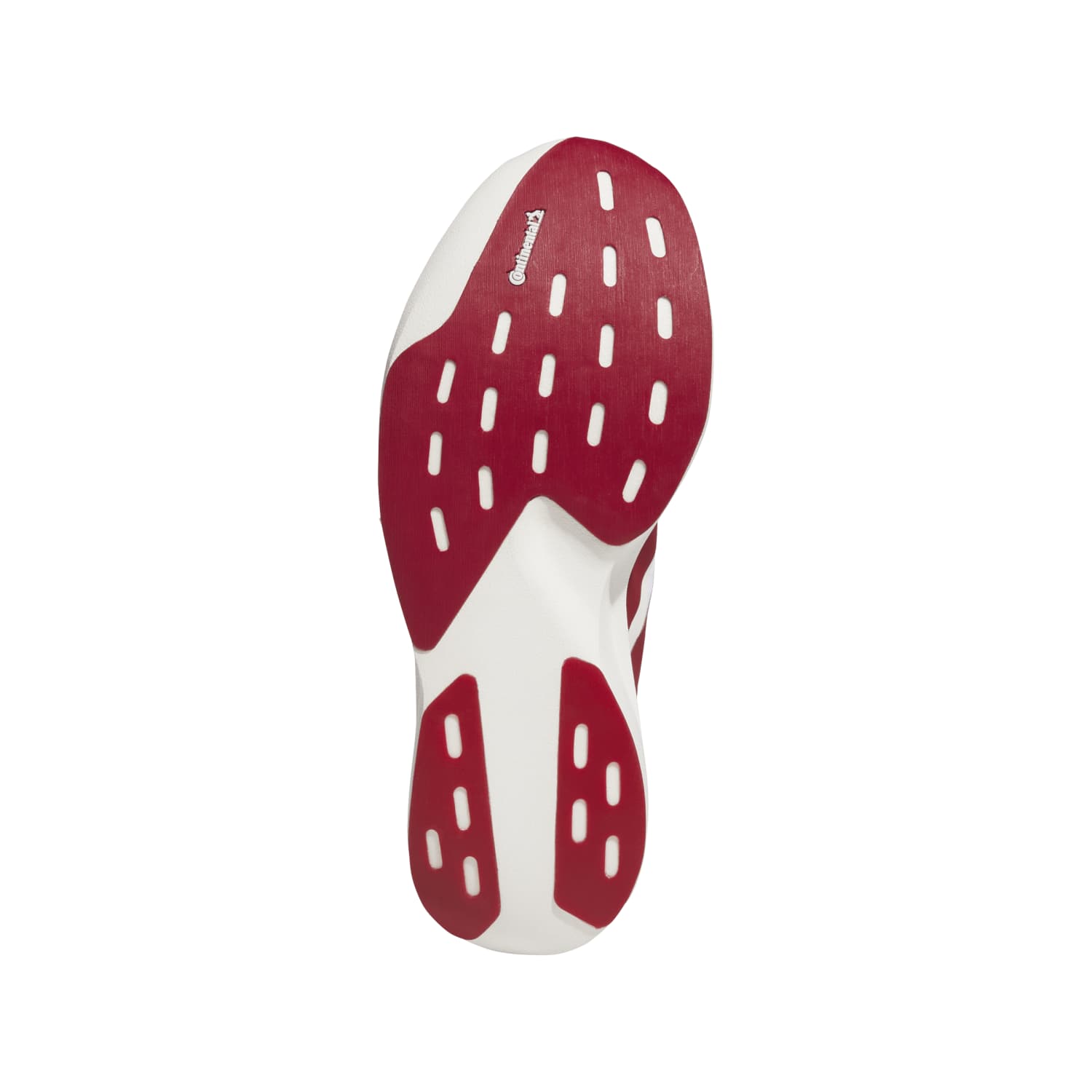 Indiana Hoosiers Adizero EVO SL EXO Shoes