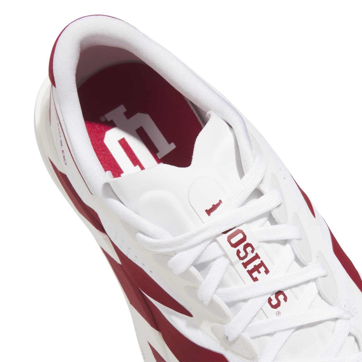 Indiana Hoosiers Adizero EVO SL EXO Shoes