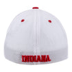 Indiana Hoosiers Mini Camp Crimson Flex Hat - Back View
