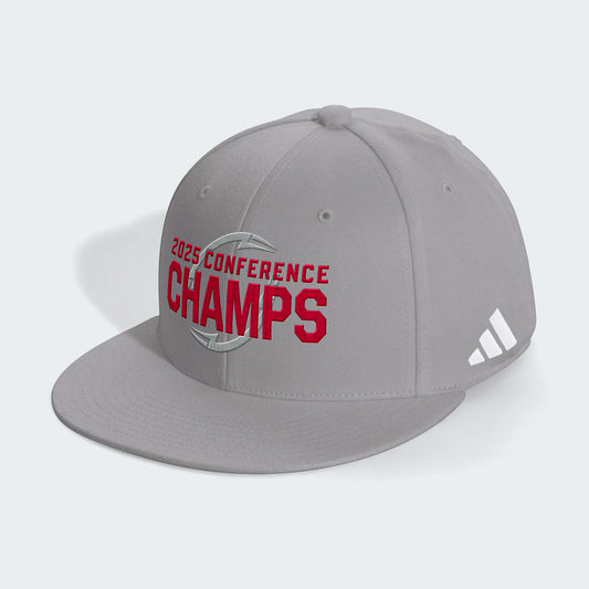 Indiana Hoosiers Big 10 Conference Champions Hat
