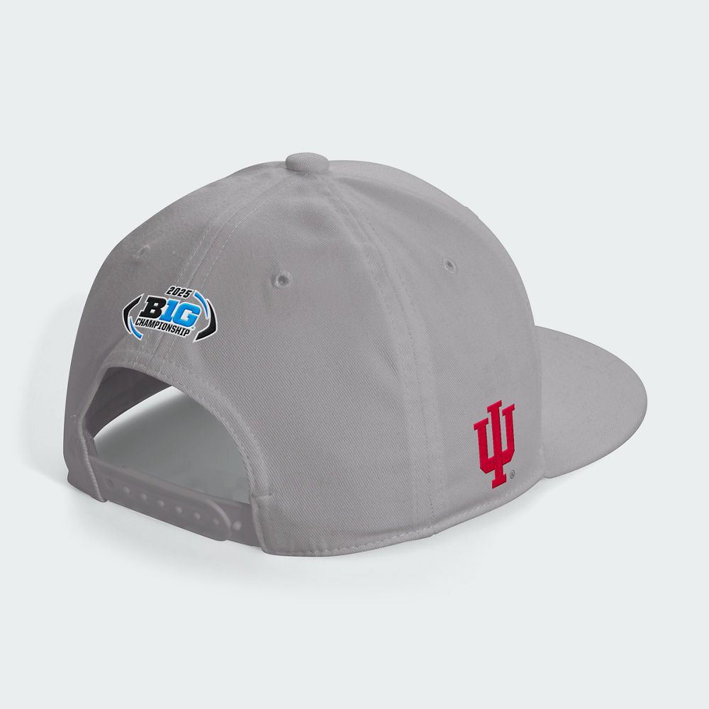 Indiana Hoosiers Big 10 Conference Champions Hat