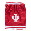 Indiana Hoosiers Basketball 1974-1976 Crimson Game Shorts - Side View