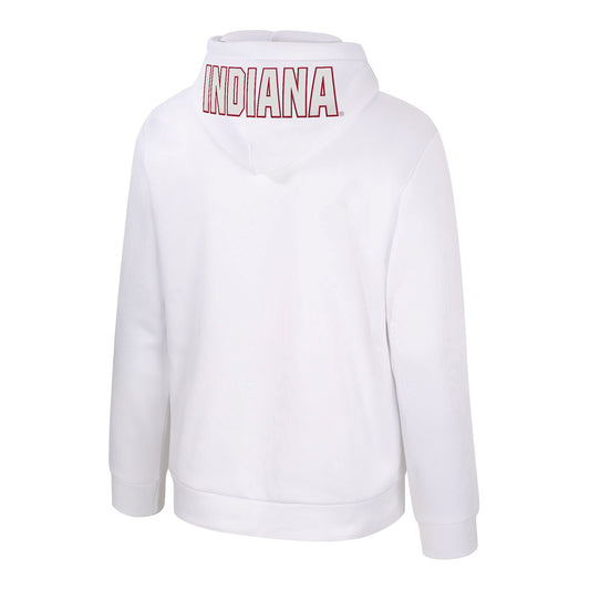 Indiana Hoosiers Columbia Freezer Burn Bison White Hoodie - Back View