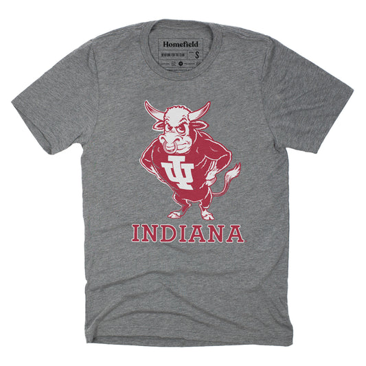 Indiana Hoosiers Vintage Bison Grey T-Shirt - Front View