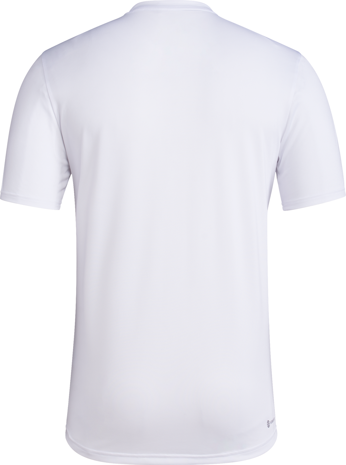 Indiana Hoosiers Never Daunted White T-Shirt - Back View