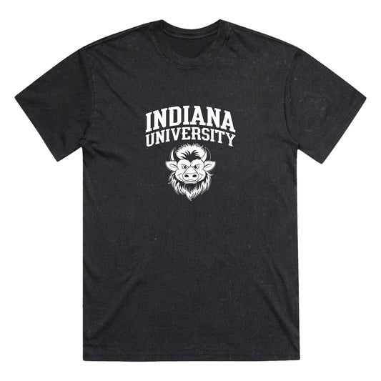 Indiana Hoosiers Hoosier the Bison Head Stone Washed T-Shirt - Front View