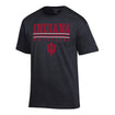 Indiana Hoosiers Wrestling Black T-shirt - Front Tee