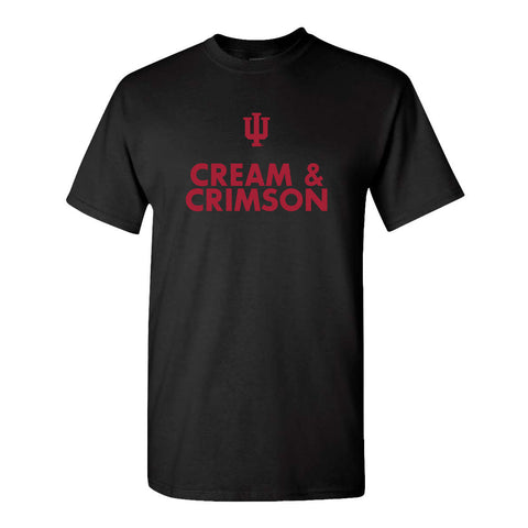 Indiana Hoosiers Cream & Crimson Black T-Shirt - Front View