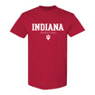 Indiana Hoosiers Wrestling Crimson T-Shirt - Front View