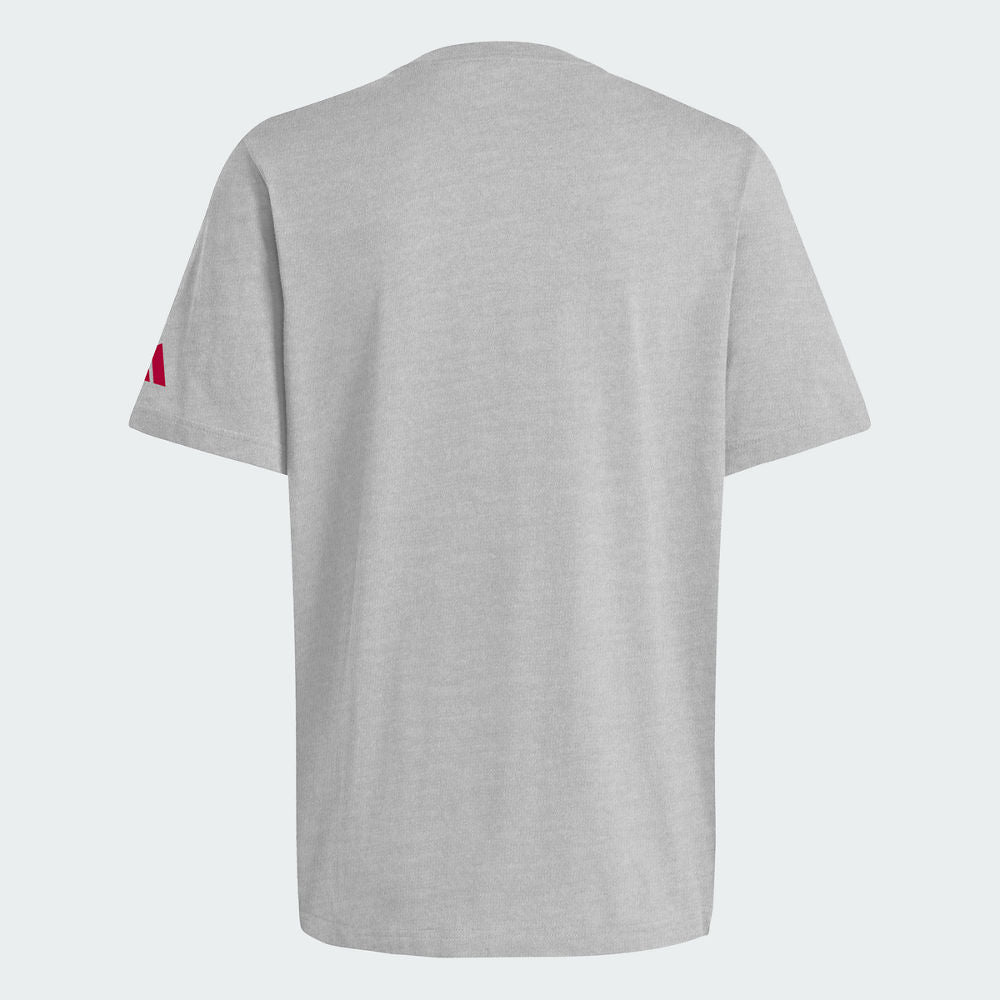 Indiana Hoosiers Big 10 Conference Champions T-Shirt