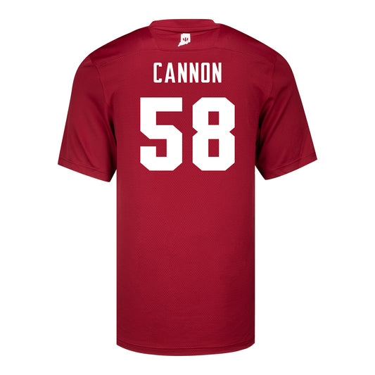 Indiana Hoosiers Adidas #58 Aden Cannon Crimson Student Athlete Football Jersey - Back View