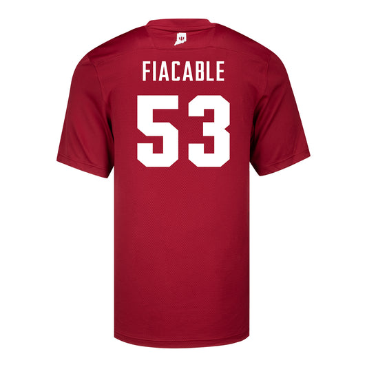 Indiana Hoosiers Adidas #53 Vinny Fiacable Crimson Student Athlete Football Jersey - Back View