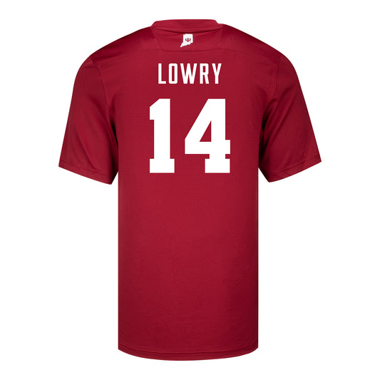 Indiana Hoosiers Adidas #14 Broc Lowry Crimson Student Athlete Football Jersey - Back View