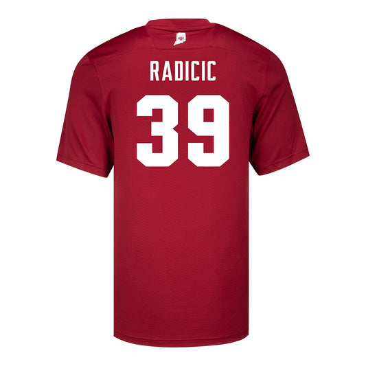 Indiana Hoosiers Adidas #39 Nicholas Radicic Crimson Student Athlete Football Jersey - Back View