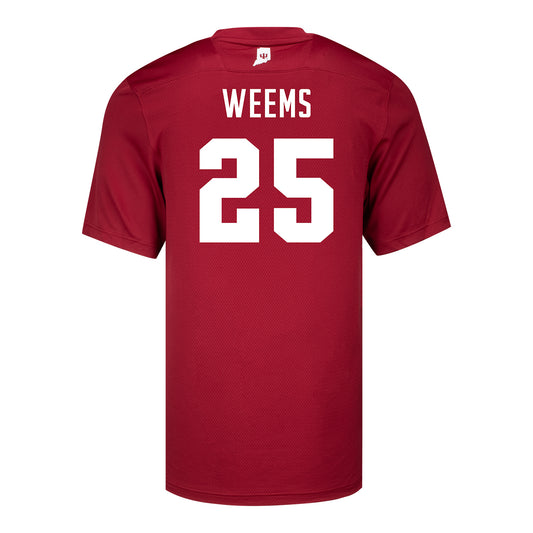 Indiana Hoosiers Adidas #25 Daniel Weems Crimson Student Athlete Football Jersey - Back View