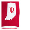 Indiana Hoosiers Adidas Reverse Retro Replica Baseball Crimson Jersey - Patch View