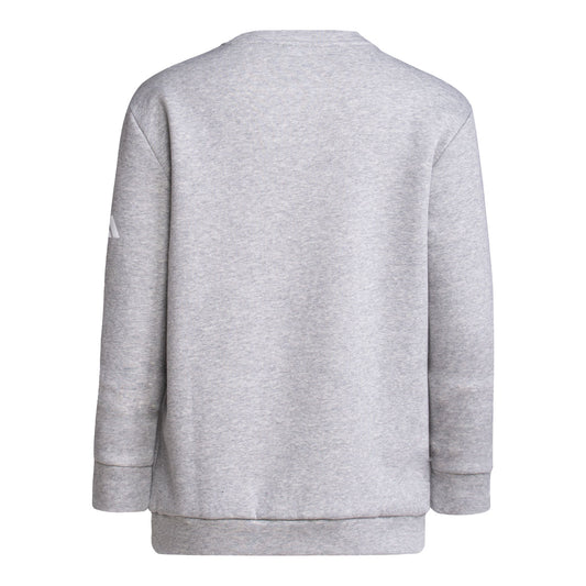 Youth Indiana Hoosiers Never Daunted Grey Crew Sweatshirt - Back View