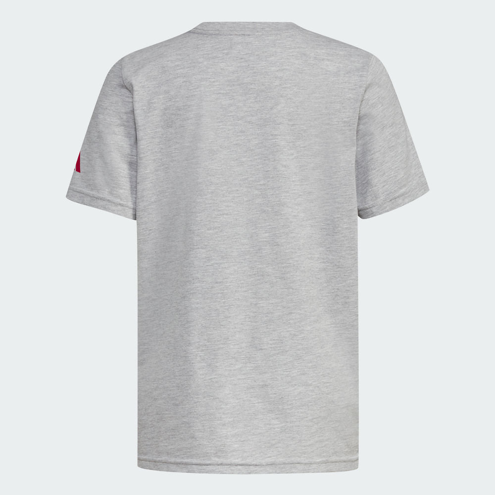 Indiana Hoosiers Big 10 Conference Champions Youth T-Shirt