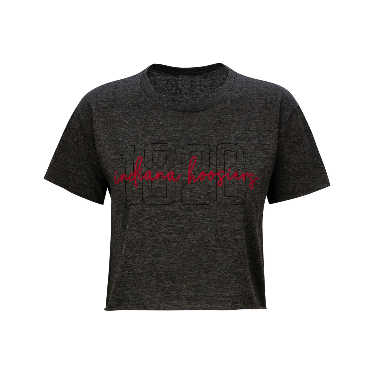 Ladies Indiana Hoosiers Jade Crop Crew Charcoal T-Shirt - Front View