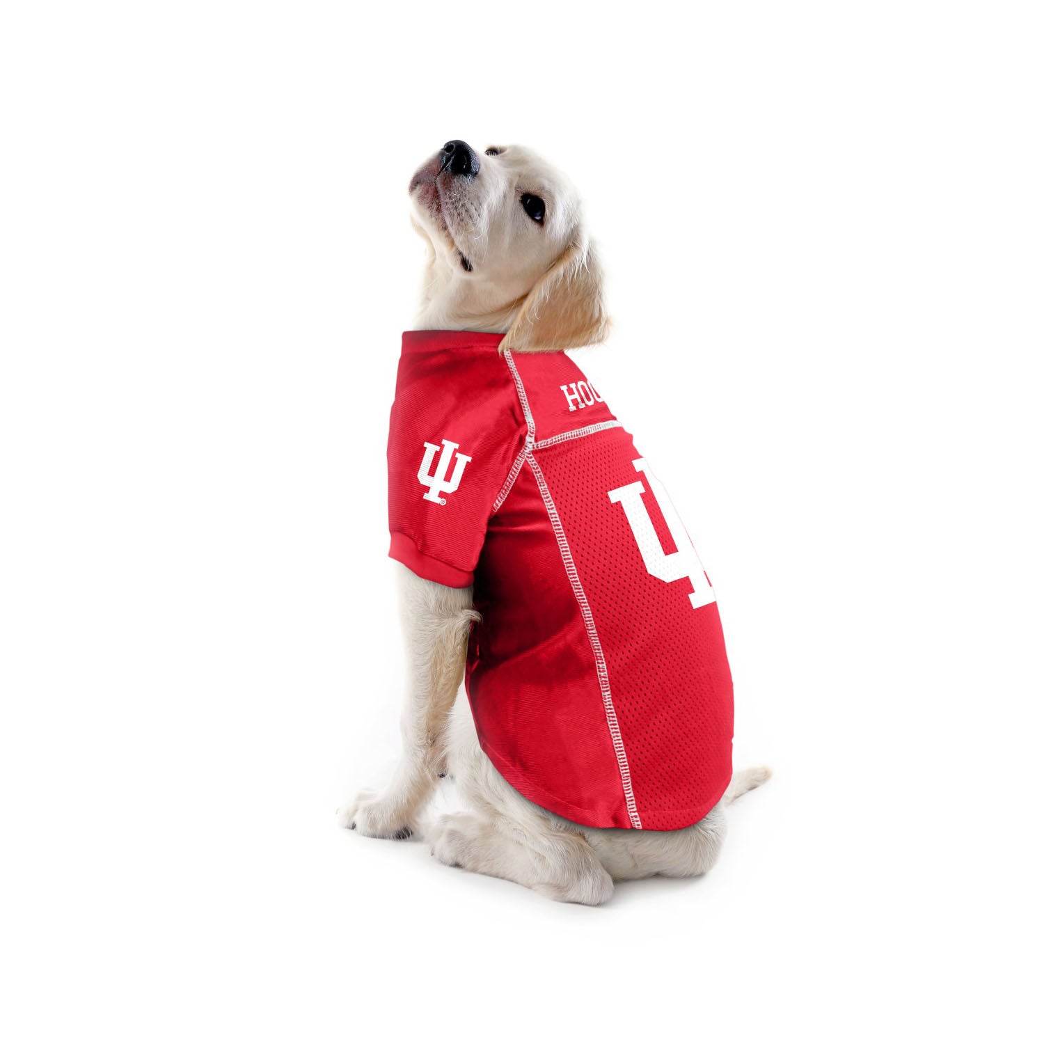 Indiana Hoosiers Pet Jersey in Crimson - Dog View