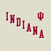 Youth Indiana Hoosiers Super Fan Hockey Hood in Oat - Logo View