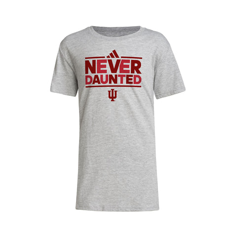 Youth Indiana Hoosiers Adidas Never Daunted T-Shirt in Grey - Front View